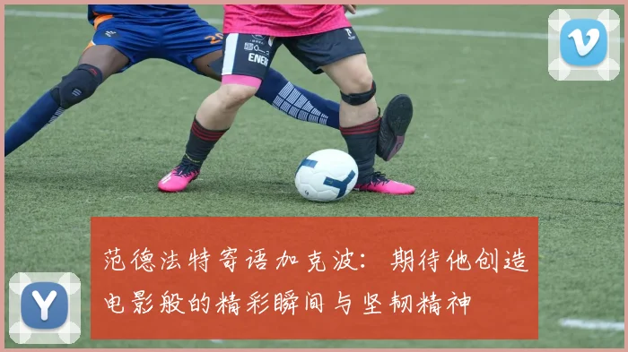 范德法特寄语加克波：期待他创造电影般的精彩瞬间与坚韧精神